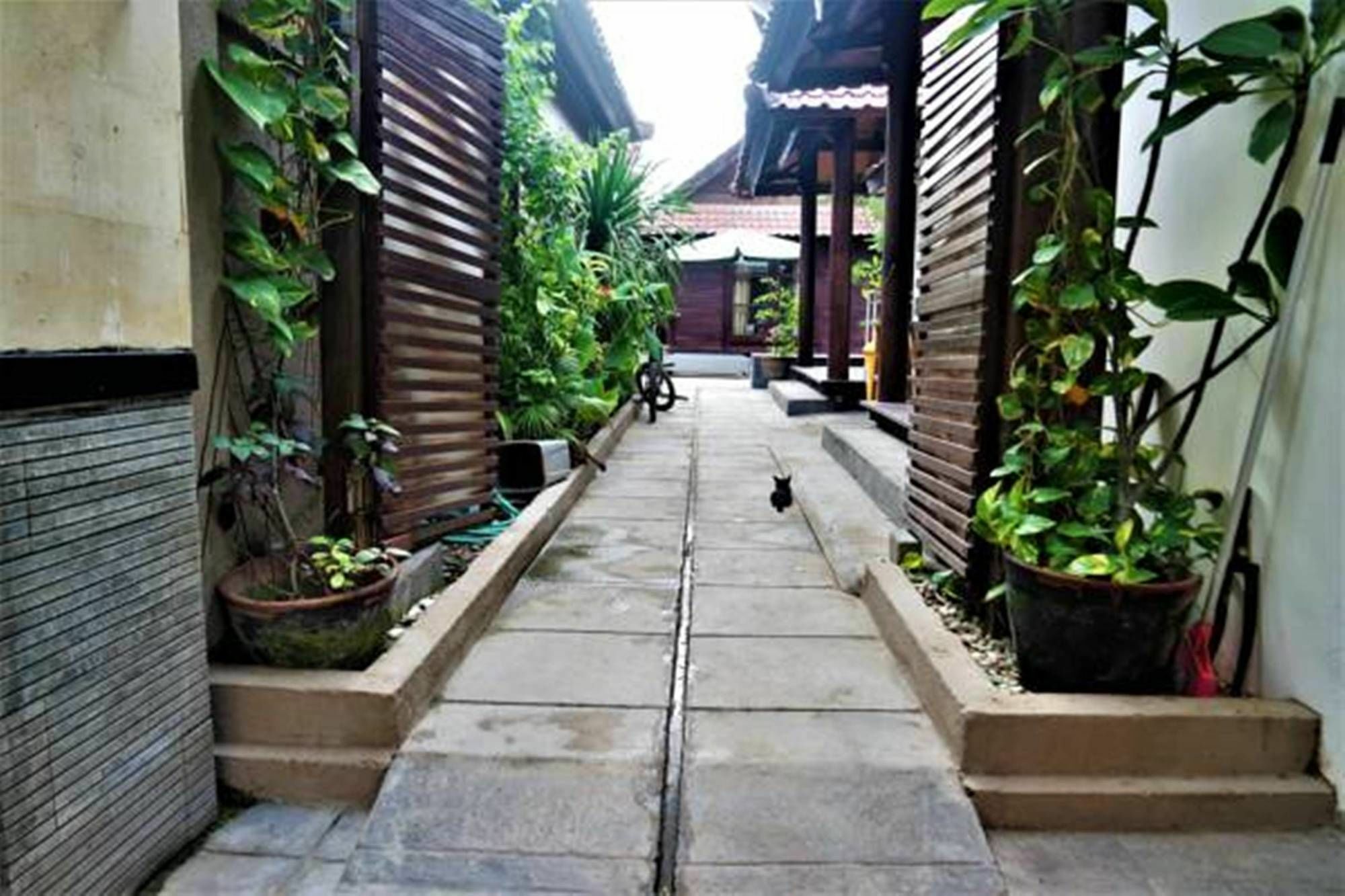 Drupadi Bungalows Gili Trawangan Exterior foto